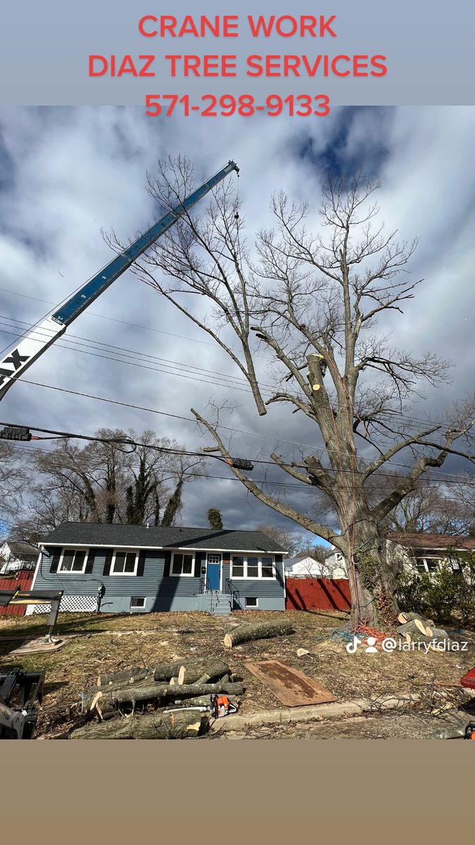 Crane services for DIAZ TREE in Stafford, VA