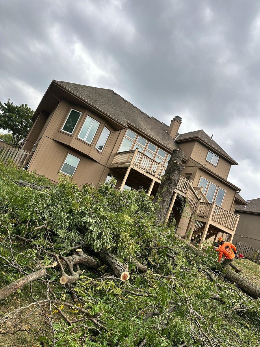 Tree Removal for Cross Family Tree Service in Kearney, MO