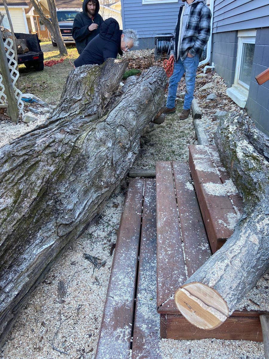 Tree Removal for Merriman's Tree Service in Nineveh,  IN