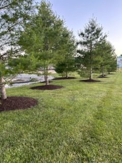 Landscaping and Hardscaping for Midwest Excavation & Landscape in Pontiac, IL