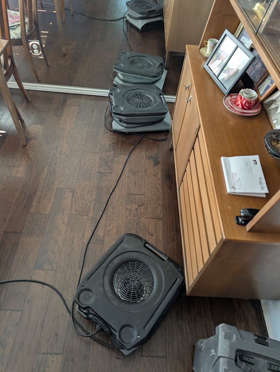 Storm Restoration for Best Option Restoration of Denton in Denton, TX