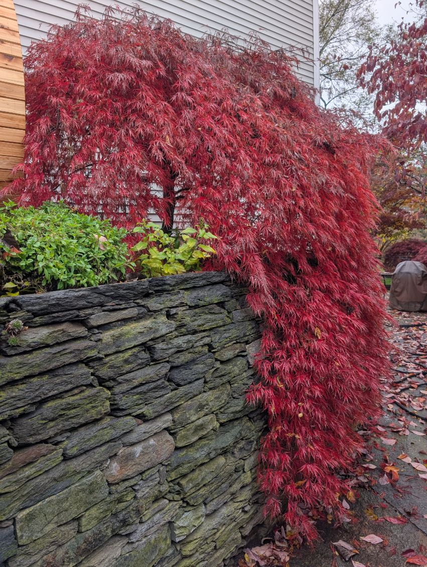 Custom Stonework for Evolution Earthscapes, LLC in Ludlow, MA