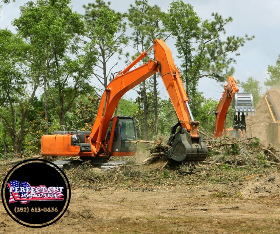 Tree Removal for Perfect Cut Lawn & Tree Care in Citrus Springs, FL