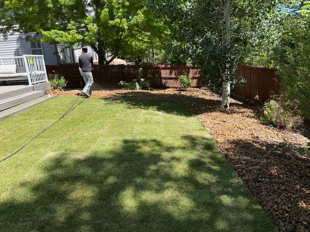 Sod Installation for Forever Green Turf Pros in Greeley, CO