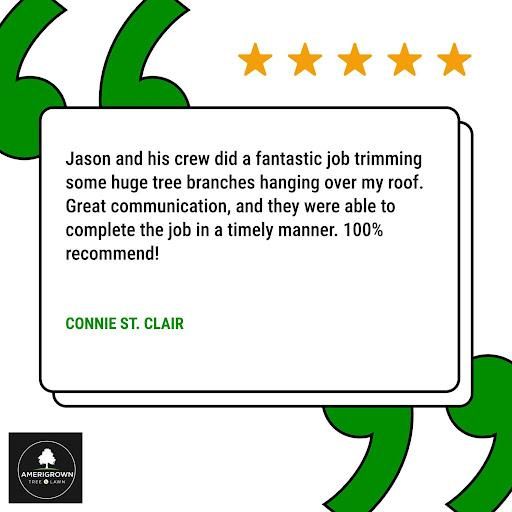 Tree Pruning for Amerigrown Tree And Lawn in Apopka, FL