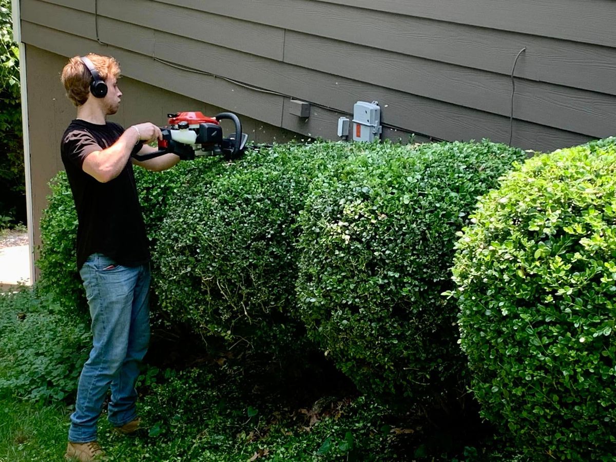 Shrub Trimming for Green Sweep Lawn and Landscape in Eureka, MO