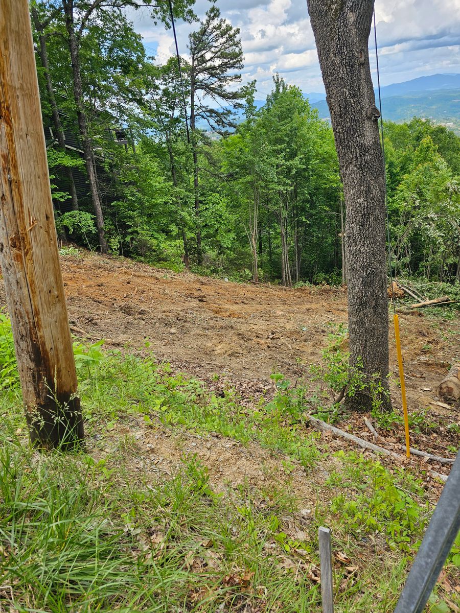 Land Clearing & Demolition for Walker Excavation in Tazewell, TN