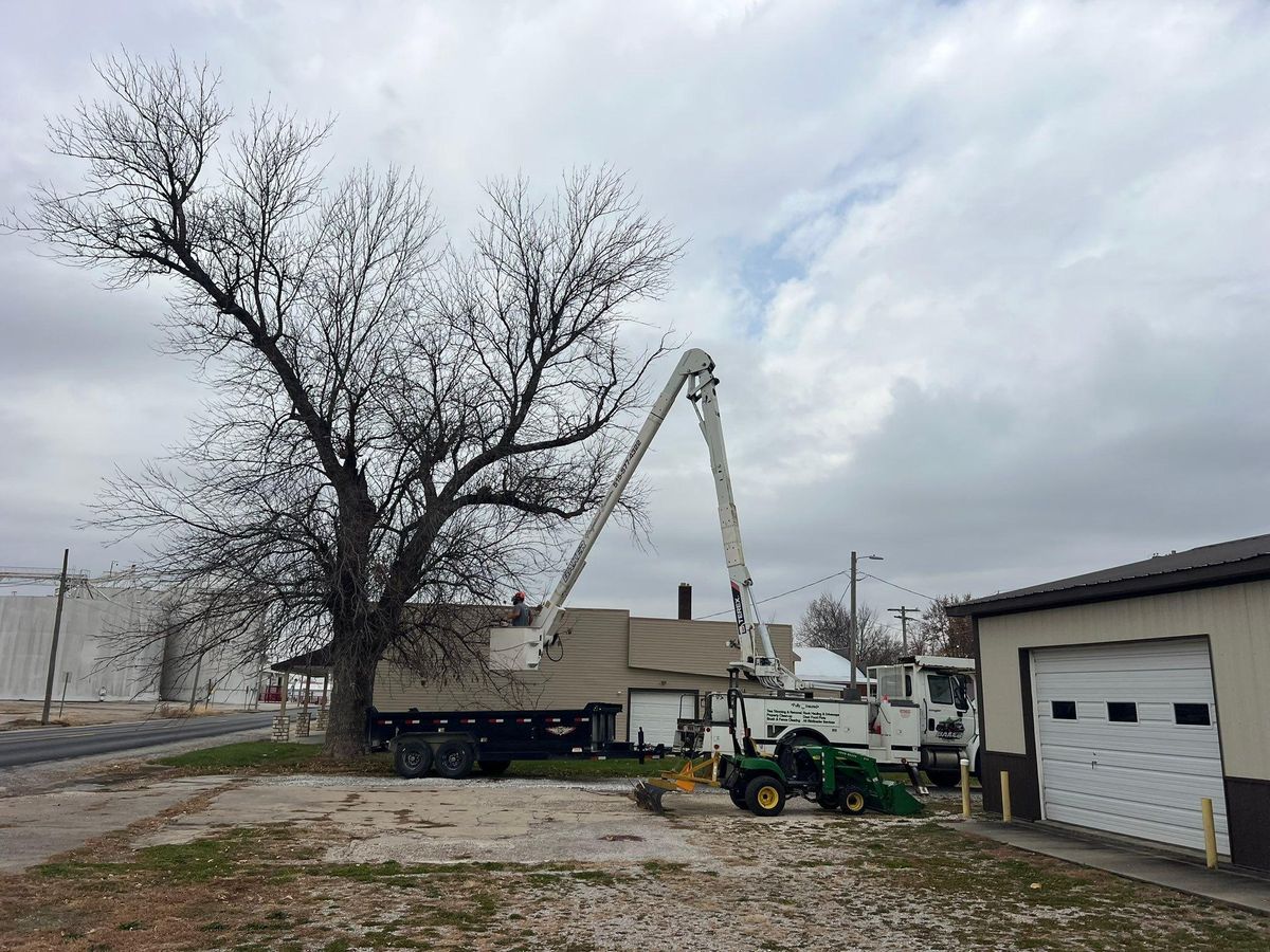 Property Clean Up for Baker Professional Services LLC in Shelbina, MO