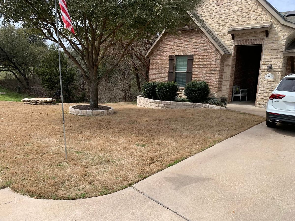 Tree Trimming & Removal for Scalpel Lawn Service in Temple, TX