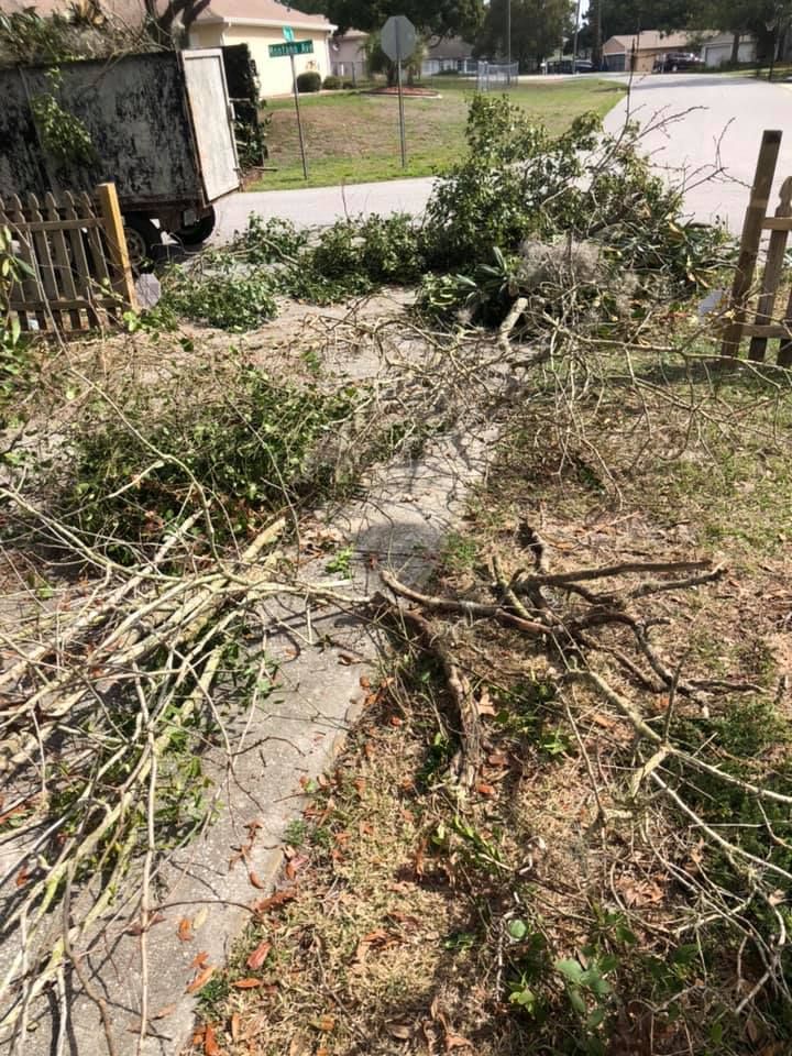 Fall Clean Up for Perfect MOs Landscaping in Hudson, FL