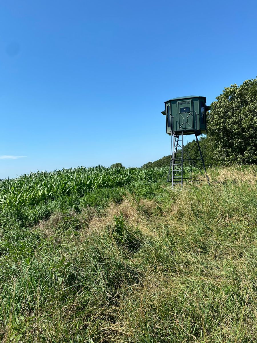 Hunting Stands/Tower Blind Construction for Two Young Bucks in Leon, IA