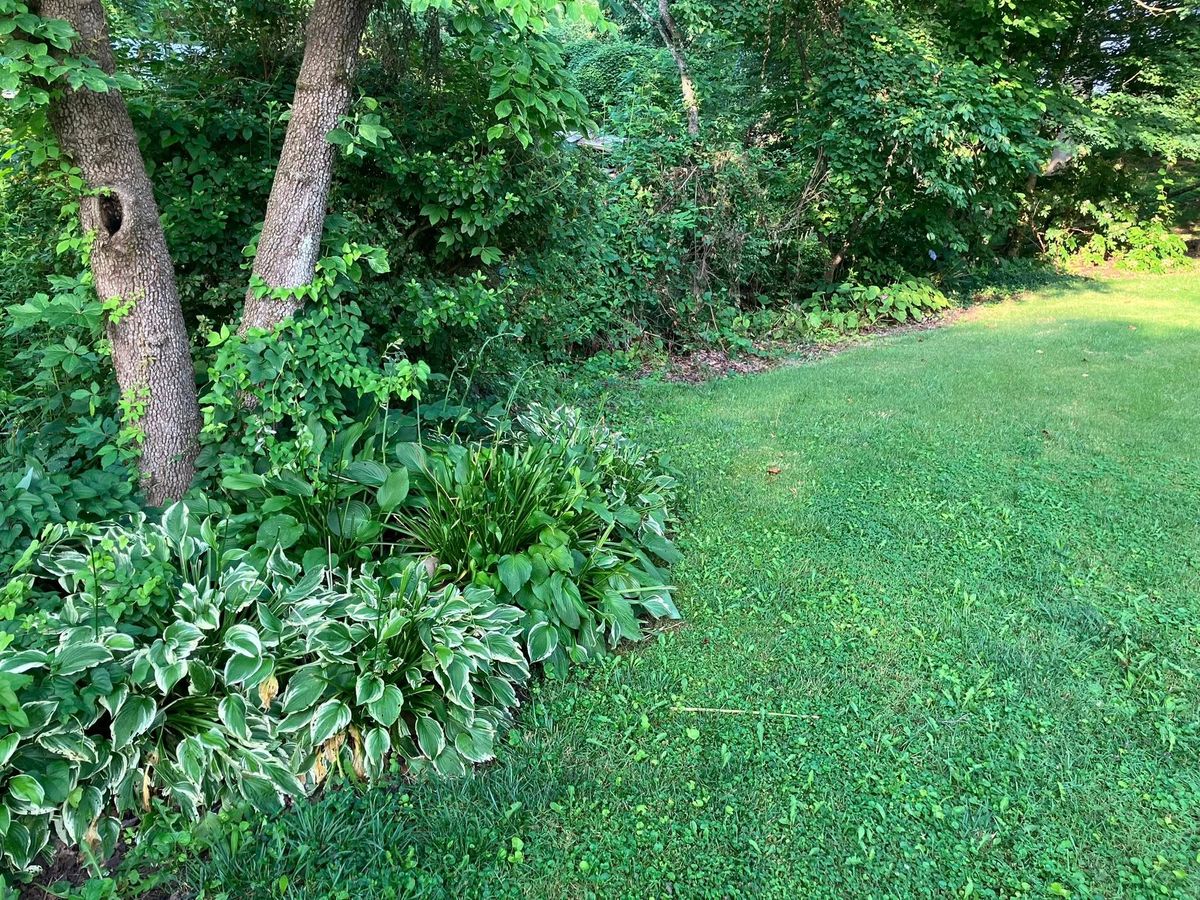 Bush Hogging for Genesis Landworks in Bluff City, TN