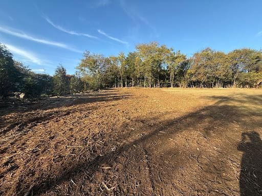 Land Clearing for TriStar Land Clearing & Mulching in Franklin, TN