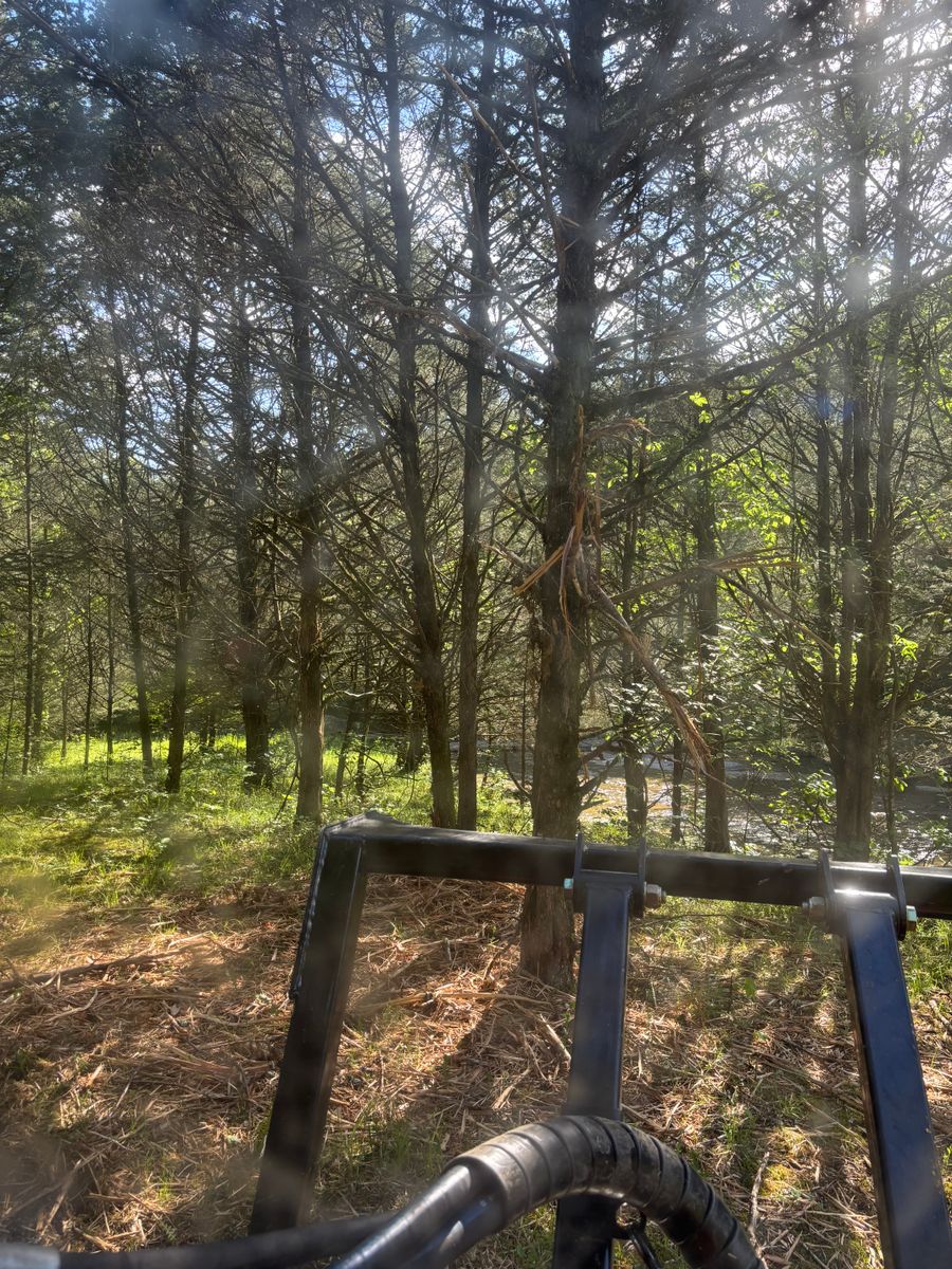 Land Clearing for Gregory Grass and Lawn in Lafayette, TN