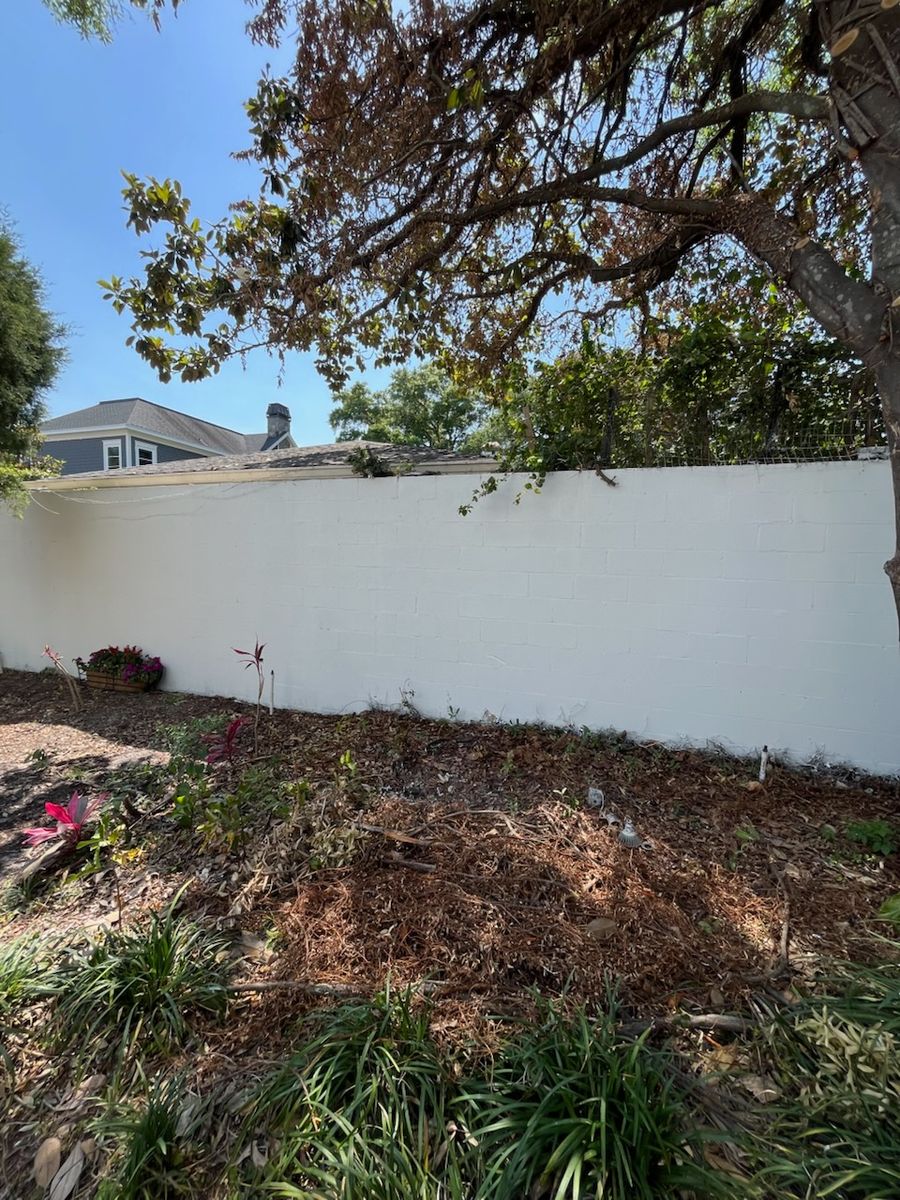 Exterior Painting for Escorpio Painting in Tampa, FL