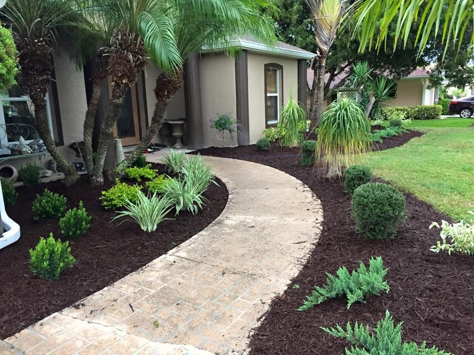 Palm and Trees for Plant World LLC in Cape Coral, FL