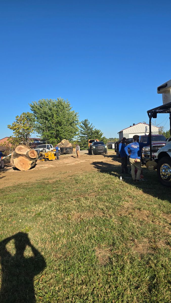 Tree Removal for Optimum Tree Service And Landscaping in Bowling Green, KY