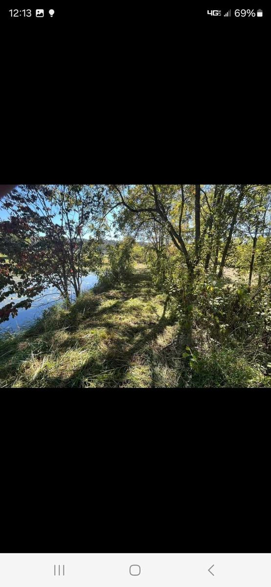 Bush hogging for M&L Lumber and Excavating in Jonesborough, TN