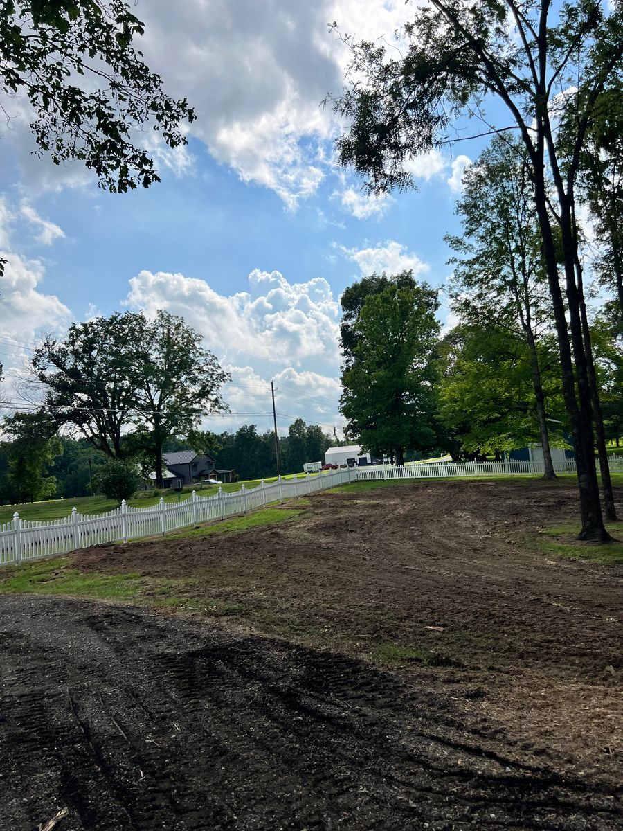 Tree Trimming for Kadin’s Tree Service in North Vernon, IN