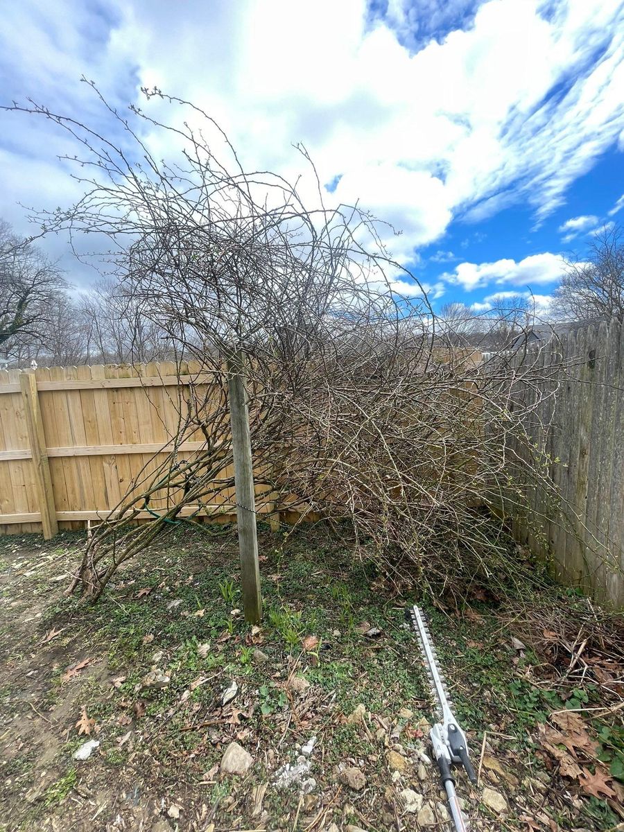 Fall & Spring Maintenance for Ardisi Property Maintenance LLC in Poughkeepsie, NY 