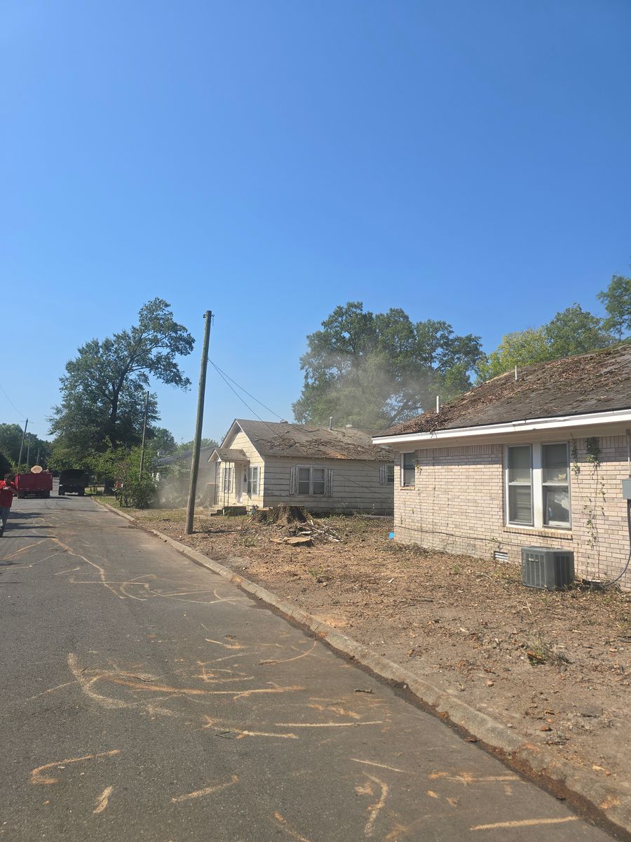 Tree Removal for Paquette's Tree Service in Malvern, AR