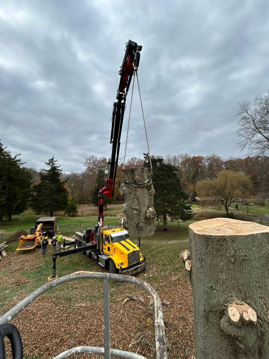 Tree Trimming for Hingewood Tree Service in Salem, NJ