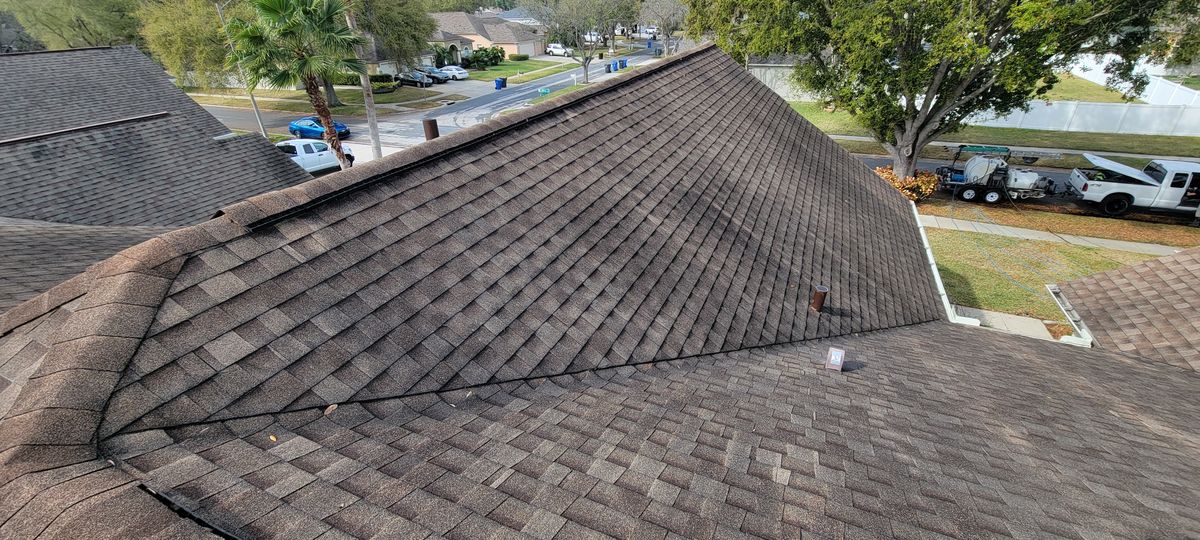 Shingle Roof Cleaning for Blue Stream Roof Cleaning & Pressure Washing in Tampa, FL