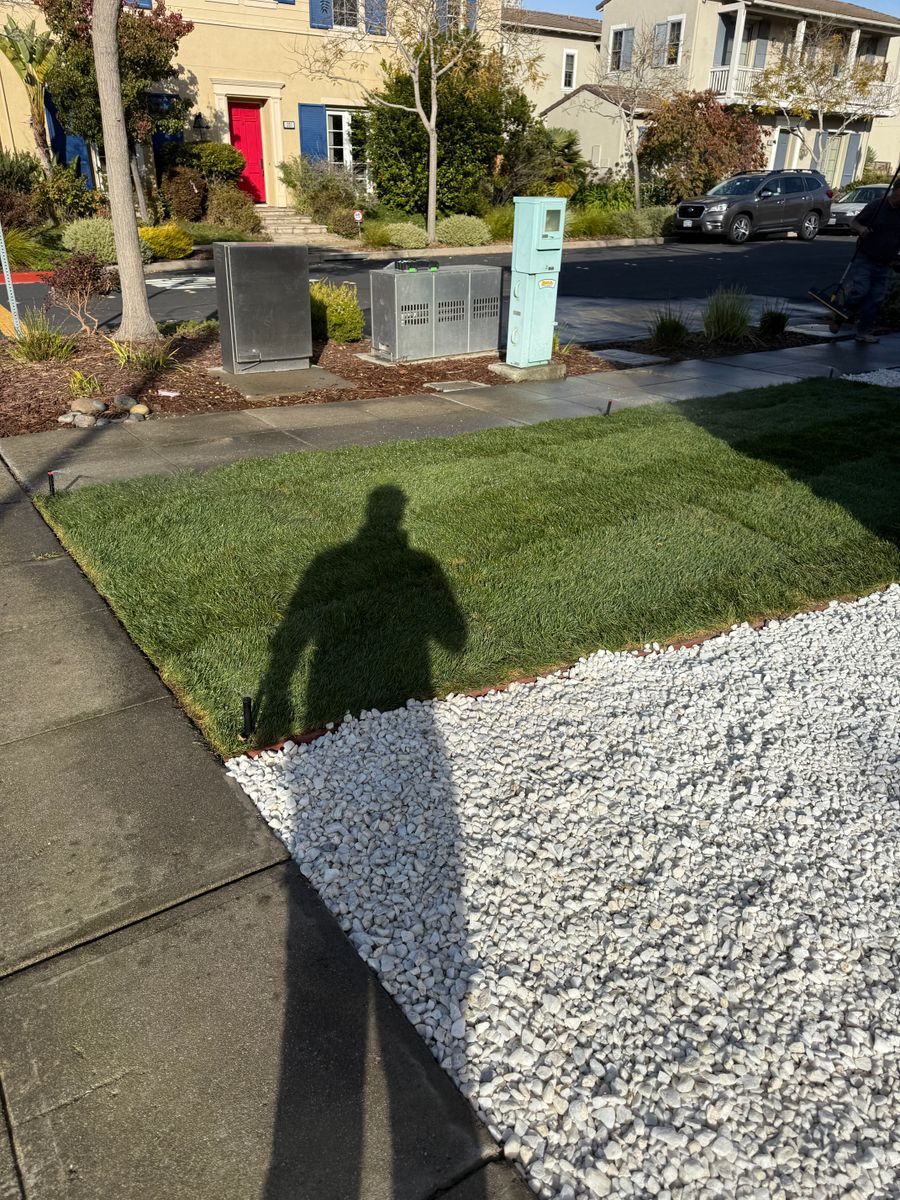 Landscaping for CBA Landscaping in Hayward, CA