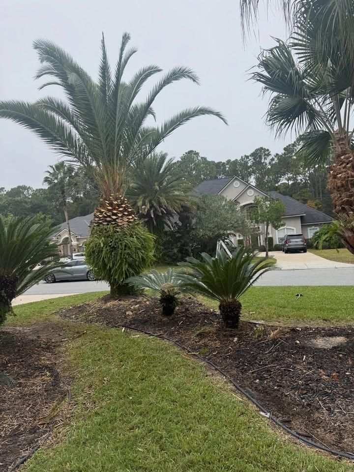 Mulch Installation for Whole 9 Yards Services in Green Cove Springs, FL