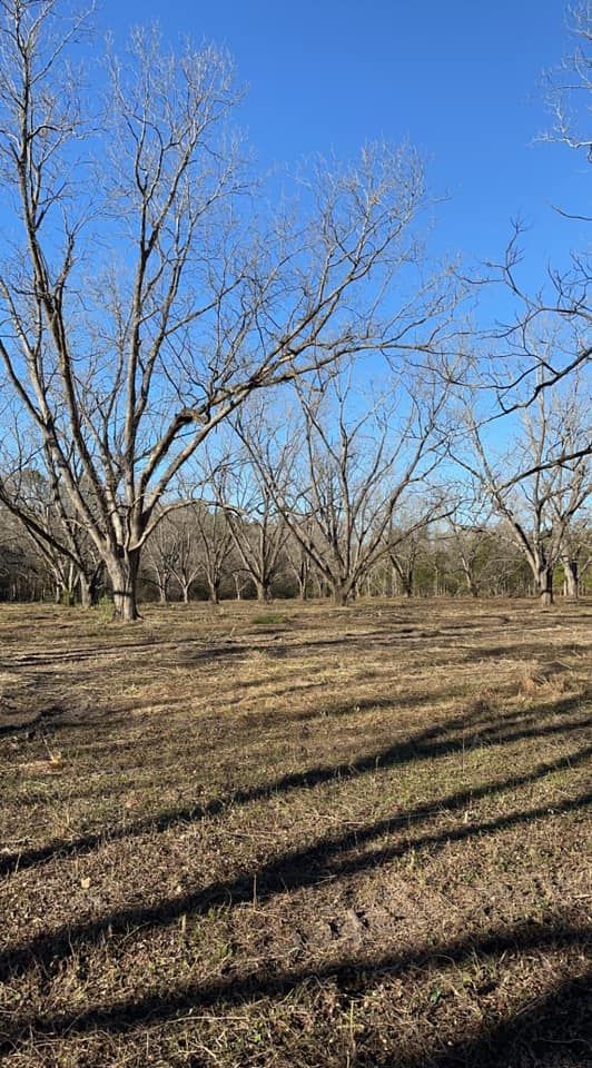 Fall and Spring Clean Up for Lee Land Maintenance in Savannah, GA