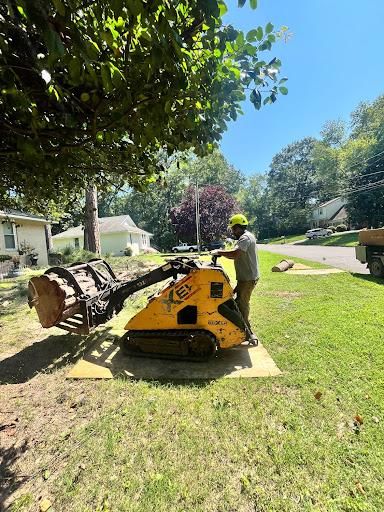 Tree Removal for Ricky's Tree Service & Property Care in Orange, VA