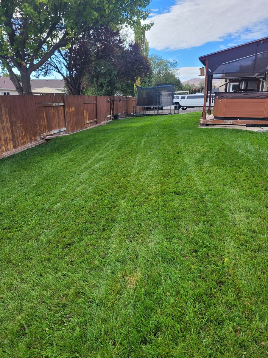 Lawn Aeration for Silver Service Pros in Riverton, UT