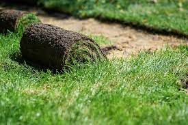 Sod Installation for Sammy’s Yard Maintenance And Irrigation Repairs in Oracle, AZ