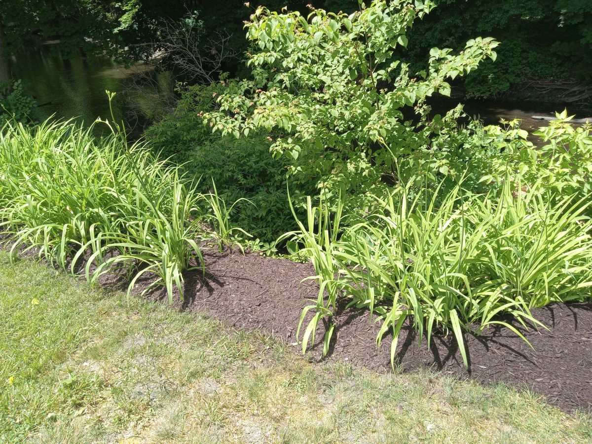 Mulch Installation. for K Brown's Property Maintenance in Pittsfield, MA