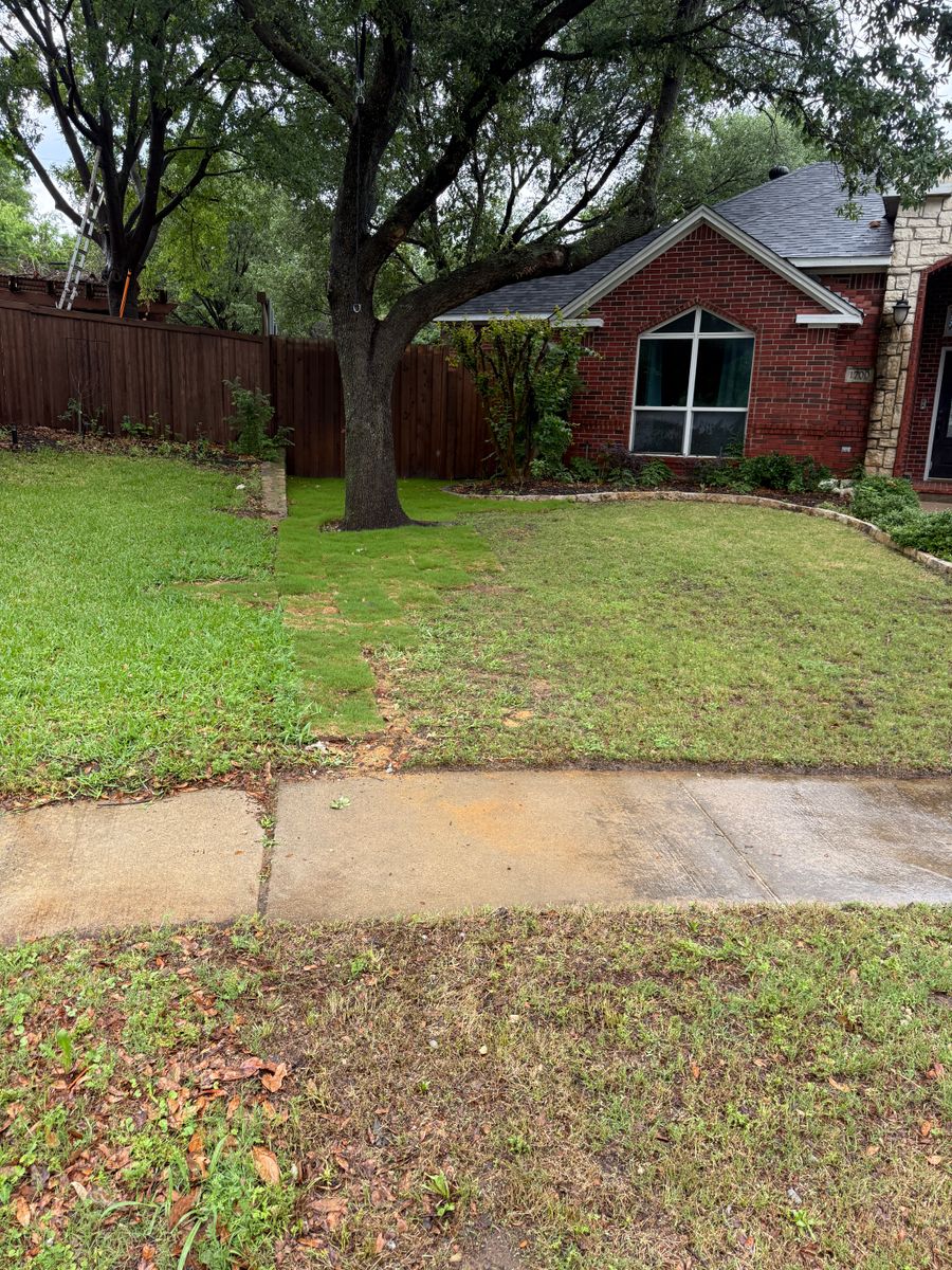 French Drain and Down Spout Drainage Systems for Light It Up AV and Turf in Keller, TX