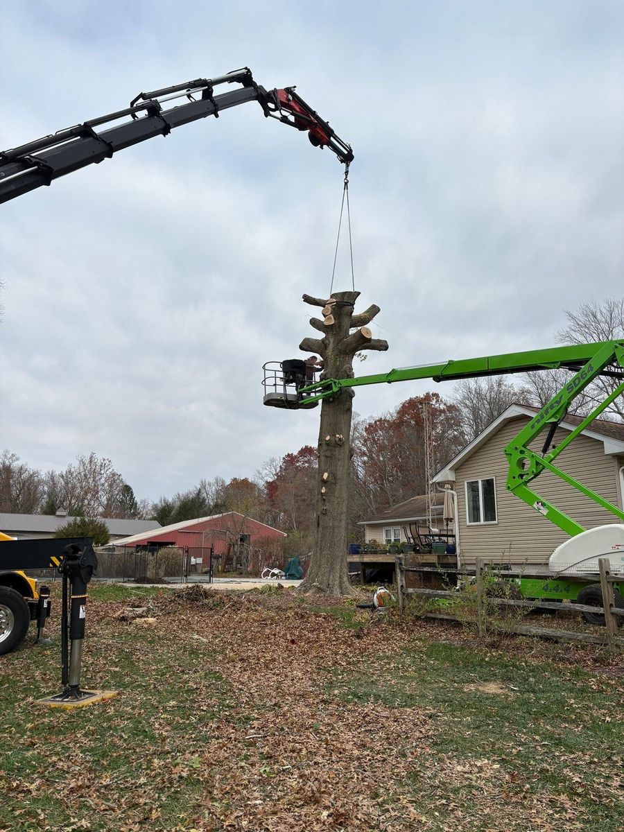 Tree Removal for Hingewood Tree Service in Salem, NJ