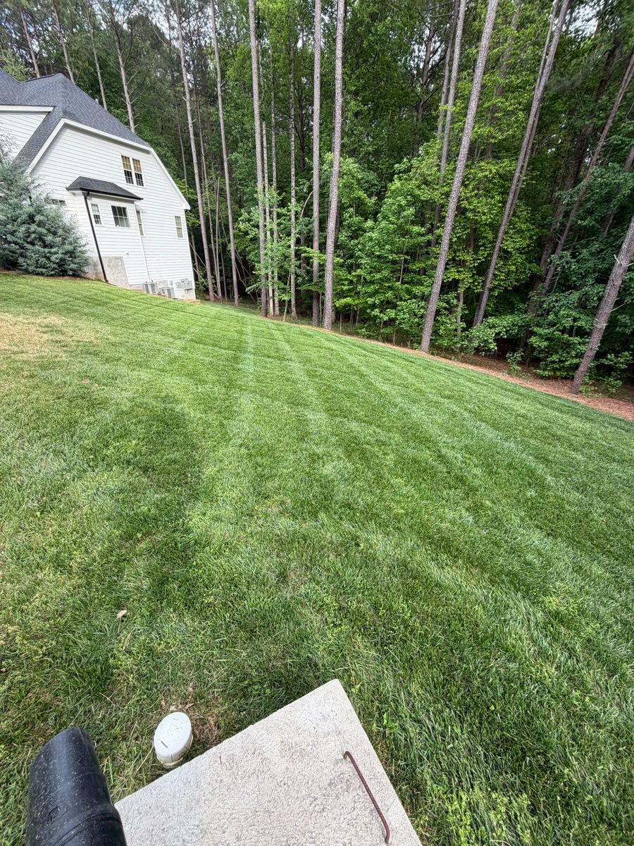 Property Maintenance for Done2Day LLC in Wake Forest, NC