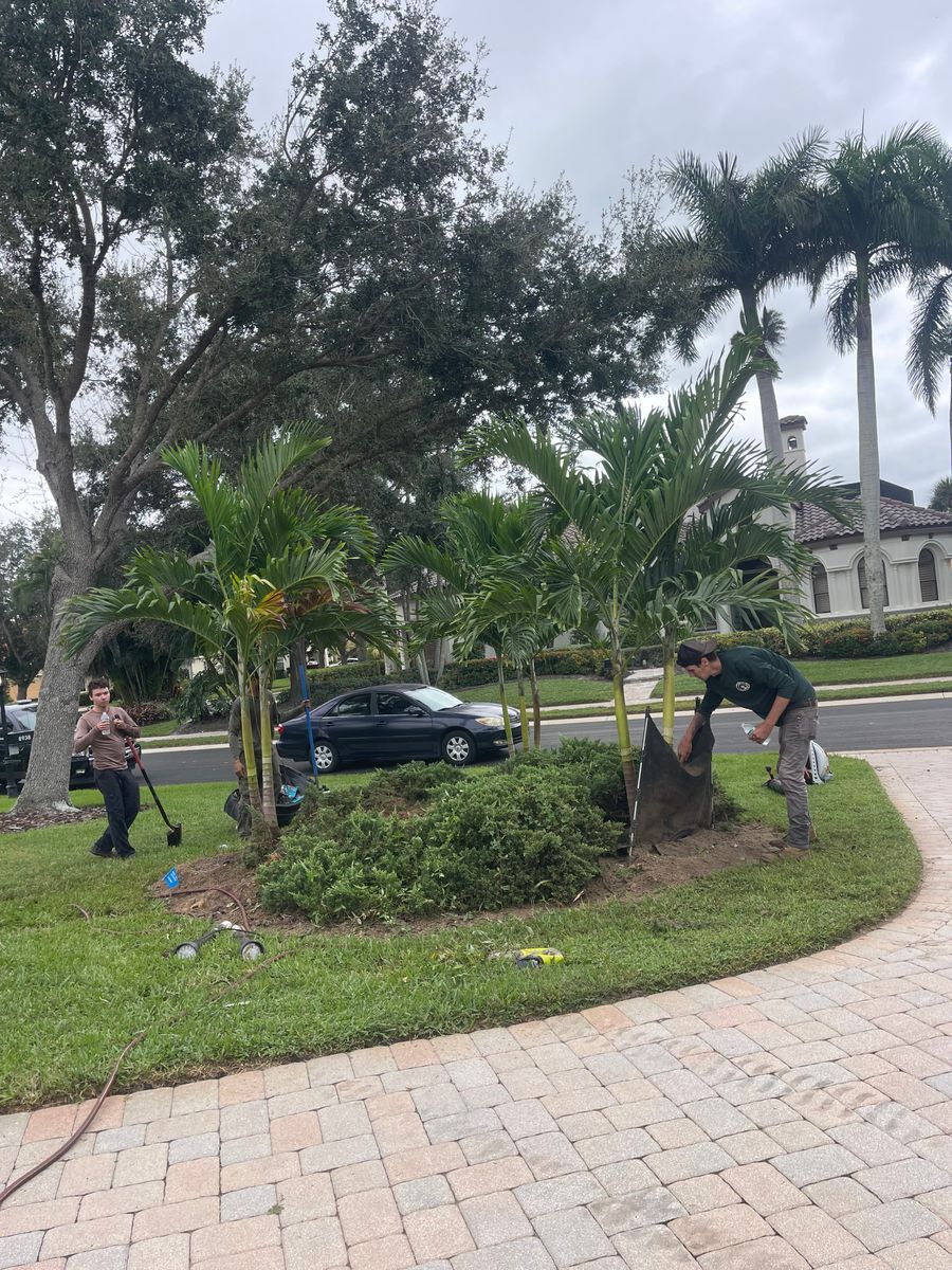 Stump Removal for Adam's Tree and Stump Care in Sarasota, FL