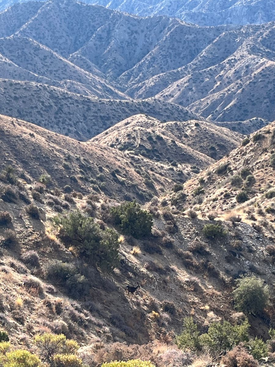 Debris Cleanup for Hutcherson Construction in Pacific Palisades, CA