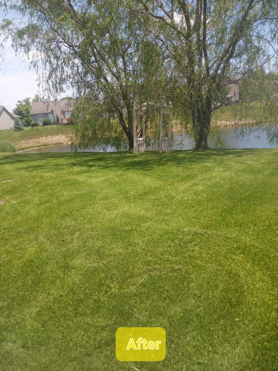 Storm Cleanup for Bearforce Lawn Care LLC in Greenfield, IN