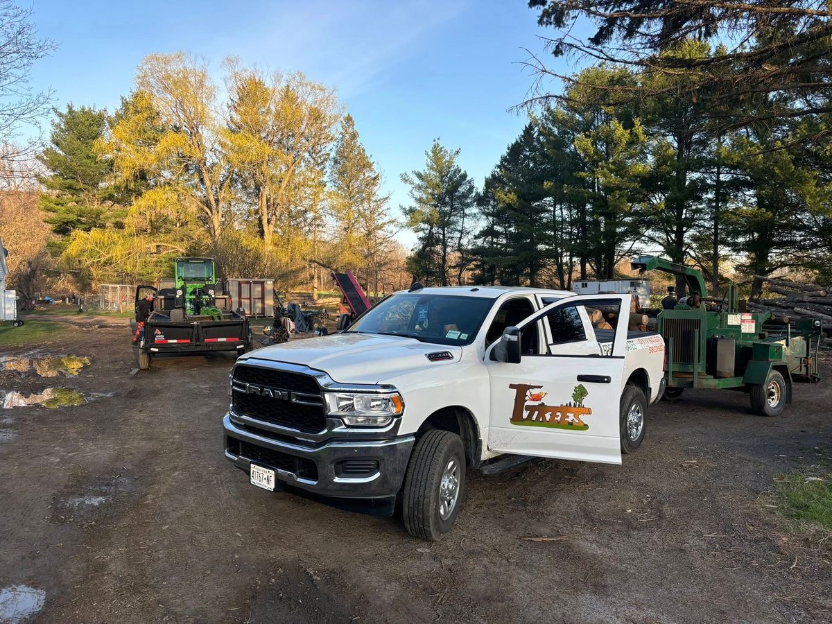 Hedge Trimming for T's Trees in Albany, NY