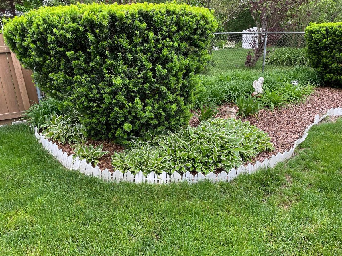 Shrub Trimming for Cena Landscaping in Rockford, IL