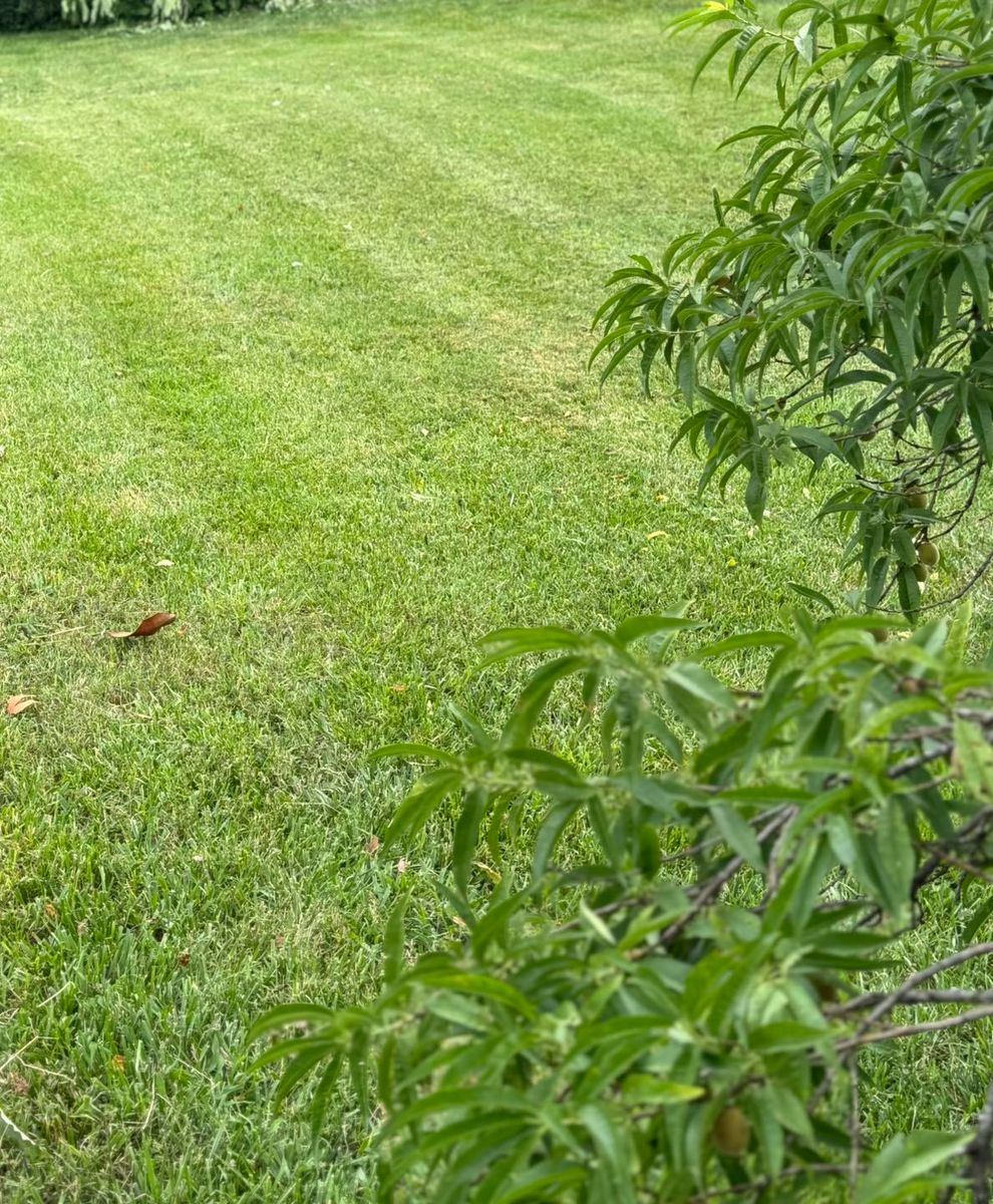 Lawn Maintenance for Legends Lawn Care in Johnson City, TN