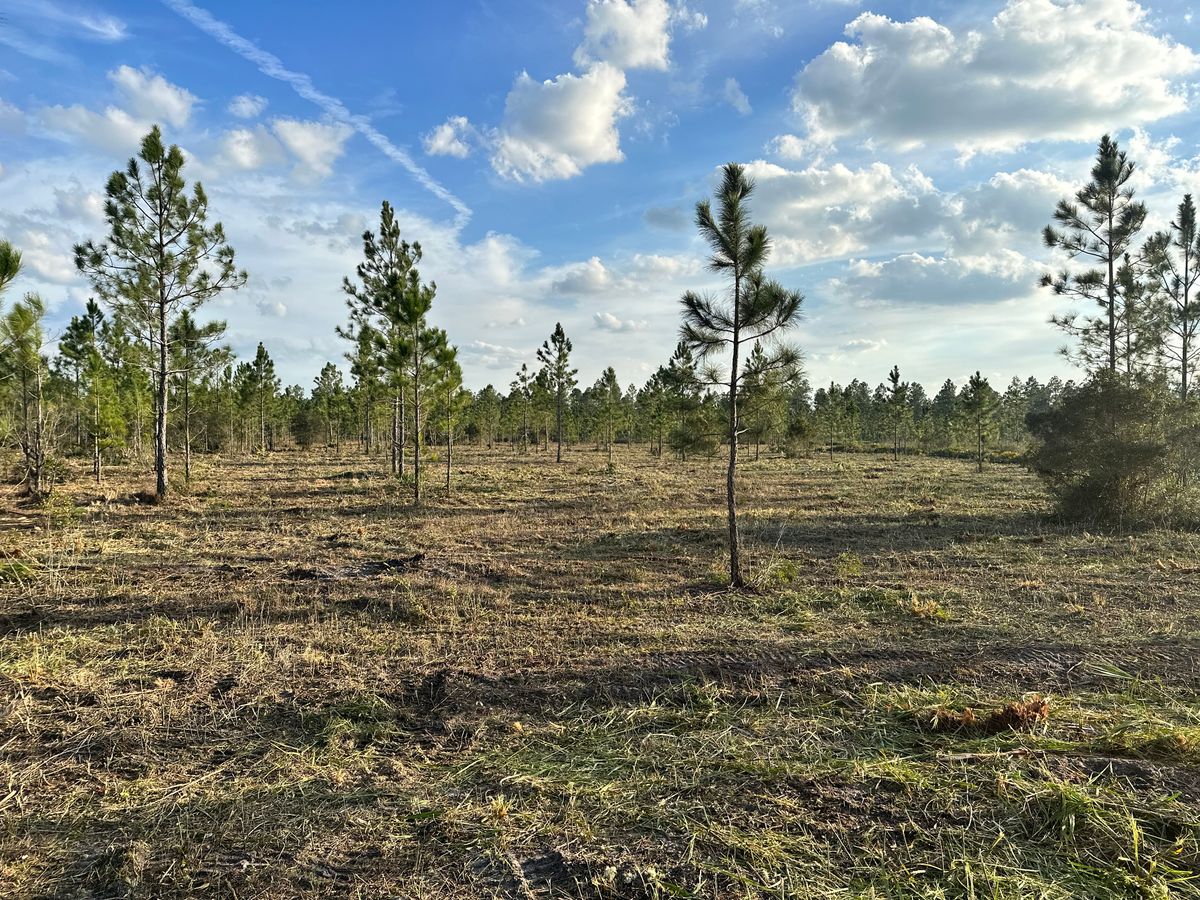 Site Preparation for AL Dirtworks LLC in St. Augustine, FL