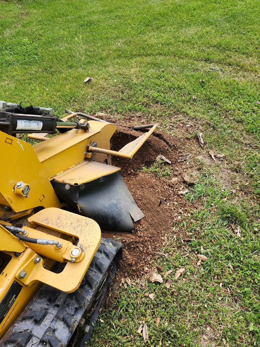 Stump Removal for Foxworth Tree Service in Coloma,, MI