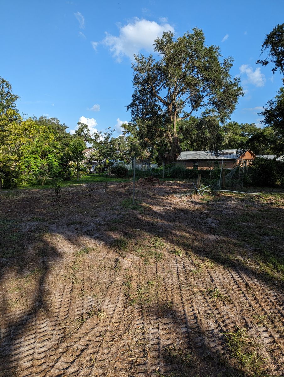 Land Clearing for Regal Tree Service and Stump Grinding in Wauchula, FL