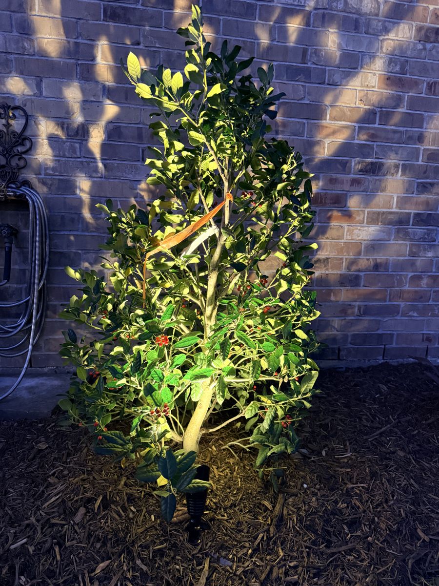 Mulch Installation for Full Armor Landscapes in League City, TX