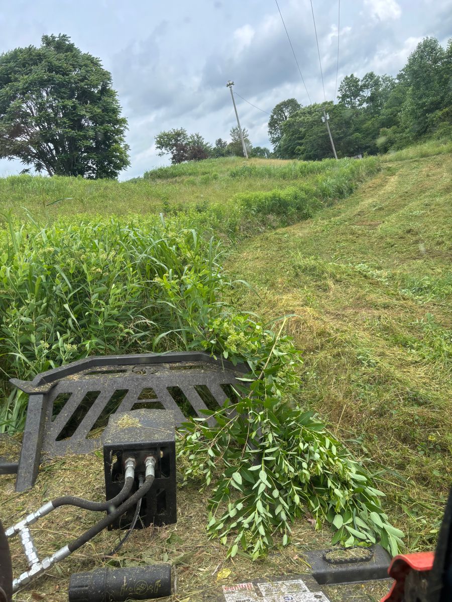 Land Clearing for Gregory Grass and Lawn in Lafayette, TN