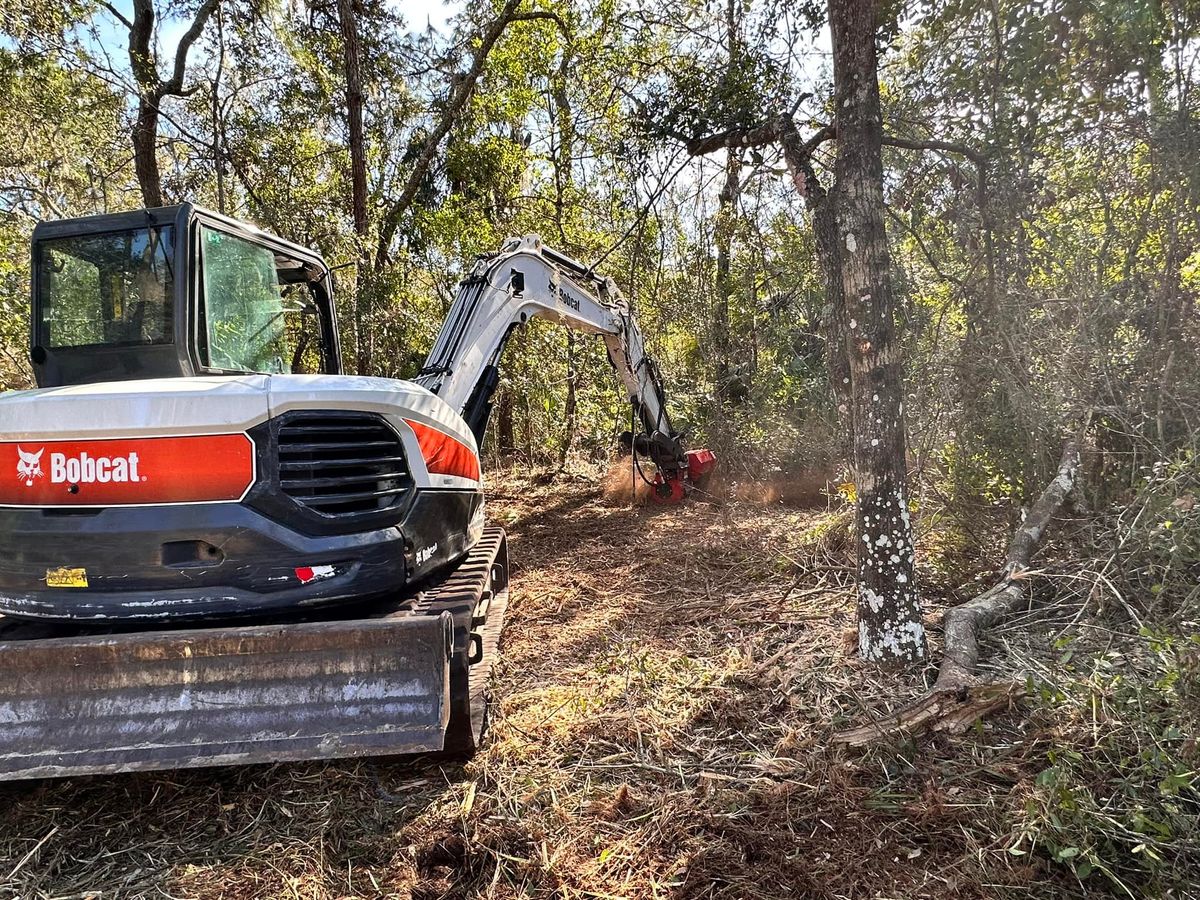 Storm Cleanup for Windspirit Land Services in Hillsborough County, FL