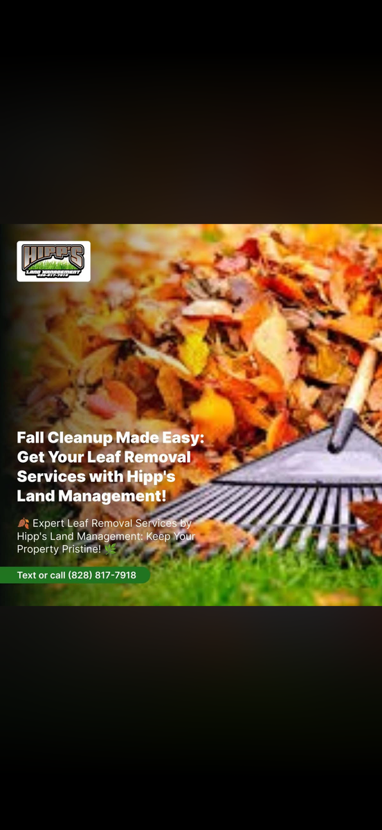 Leaf Removal And More for Hipp's Land Management LLC in Tryon, NC